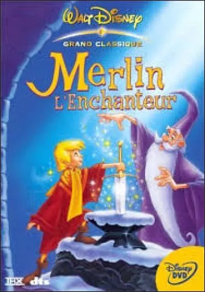 En quelle année le film "Merlin l'enchanteur" est-il sorti en DVD en France ?