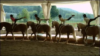 La voltige se fait à quelle allure ?