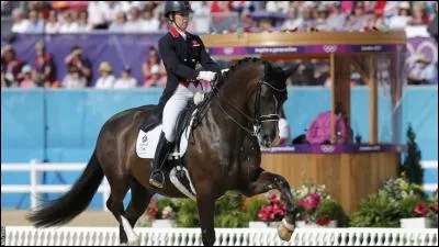 Quelle personne n'a jamais fait de dressage ?