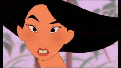 Y a-t-il deux dessins animés sur Mulan ?