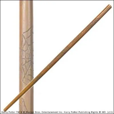 À qui est cette baguette ?