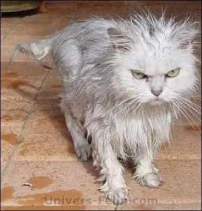 M. et Mme ''Témouillé'' ont une fille, comment l'appellent-ils ?