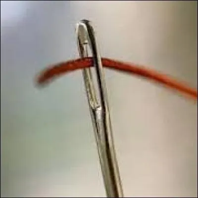 M. et Mme ''Herbien'' ont un fils, comment l'appellent-ils ?