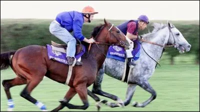 Quelle est la vitesse moyenne d'un cheval au galop ?