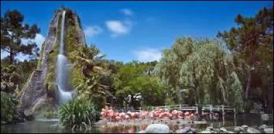 C'est une ville qui attire pour sa plage, ses clubs de vacances et ... ses grands singes.