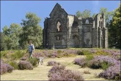 Culminant à 731 m cette montagne limousine est surmontée d'une chapelle en ruine consacrée à Notre-Dame-du-Bon-Secours.