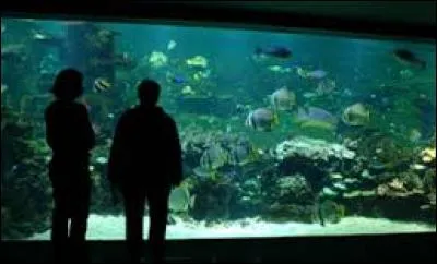 C'est un endroit connu sous le nom de "Centre national de la mer", mais qui porte le nom d'une princesse de la mythologie grecque.