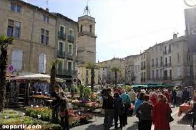 C'est Molière qui a contribué à faire la renommée de cette ville héraultaise.