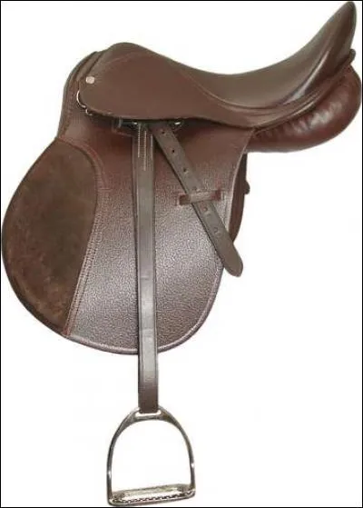 Quelle partie de la selle n'existe pas ?