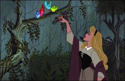 De quelle couleur l'oiseau qui donne une baie à Aurore est-il ?