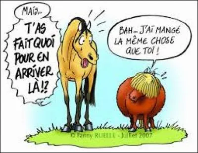 L'obésité a des conséquences néfastes sur le squelette. Vrai ou faux ?