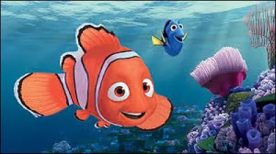 Quelle est la race de Nemo ?