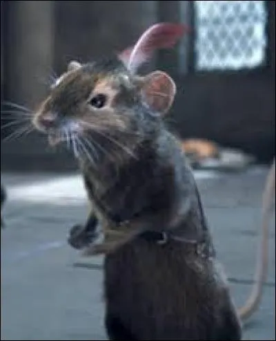 Comment s'appelle la petite souris, un des personnages principaux de "Narnia" ?