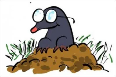 Trouble de la vision entraînant une mauvaise vue des objets éloignés, sans toucher la vision de près.