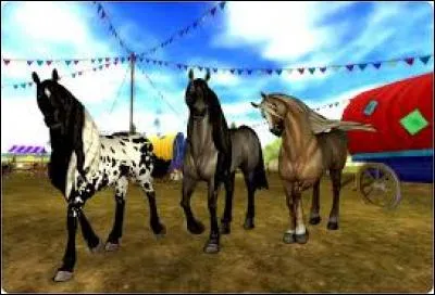 Jusqu'à quel niveau peux-tu monter quand tu n'es pas Star Rider ?