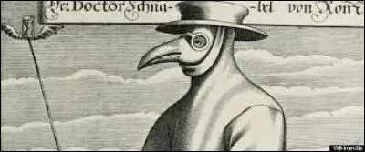 Pourquoi les médecins de la peste noire (qui, de 1347 à 1352, a occasionné la mort de 75 à 200 millions de personnes) se cachaient-ils le visage ? 
(La vraie raison reste : les piqûres d'insectes)
