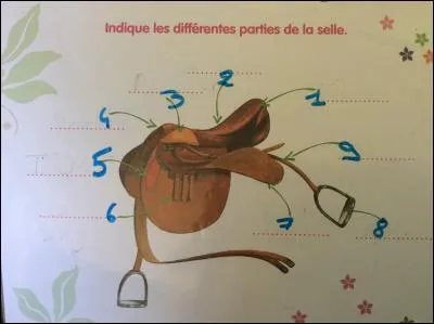 La selle. Le numéro 5 est...