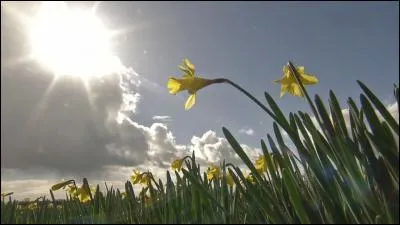 Quel mois évoque Victor Hugo dans les vers de son poème " Puisque... (ce mois)...tout en fleurs dans les prés nous réclame" ?