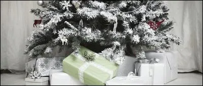 Le paiement du 13e mois au sein d'une entreprise fait l'objet d'un article du code du travail le rendant obligatoire :