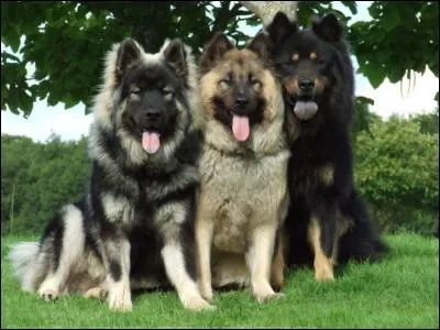 Elle vous fait prendre vos désirs pour une réalité !