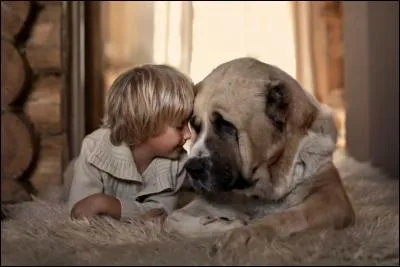 Laitue d'appellation romaine !