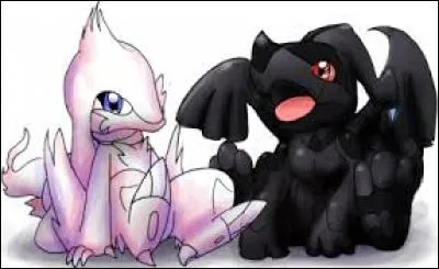 Qui sont ces deux Pokémon ?