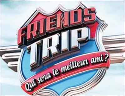 Quel est le but final dans "Friends Trip" ?