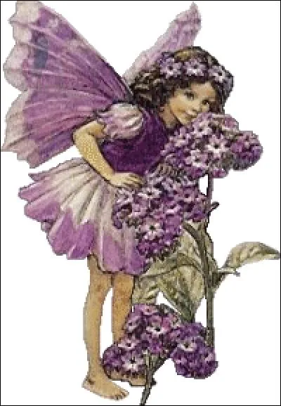 Très fine poudre blanche obtenue par broyage des graines, racines ou tubercules de certaines plantes :