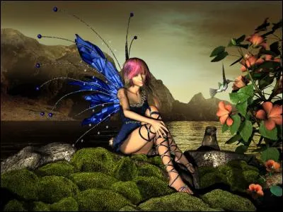 Renard des sables du Sahara :