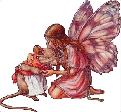 Qui se rapporte au chat :