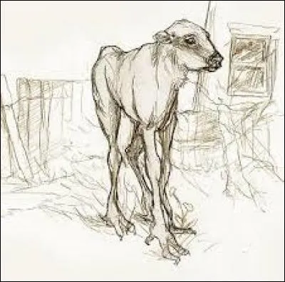 Quelle est la particularité des Veaudelune (Mooncalf) ?