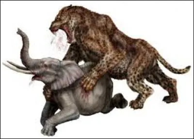 Quelle est la particularité du Nundu ?