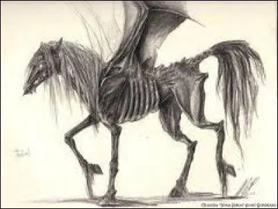 Quel est le nom de ce cheval squelettique à tête de dragon ?