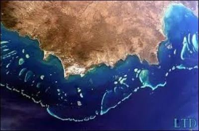 Où se situe la grande barrière de corail ?