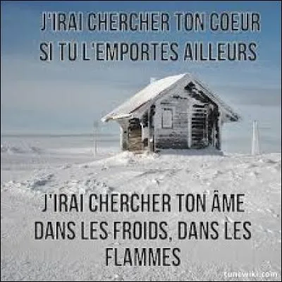 Qui a chanté "Pour que tu m'aimes encore" en 1995 ?