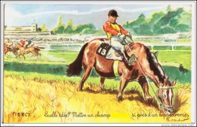 Vos rhumatismes se réveillent. Pour les soulager, vous avez besoin de silice. Que faire ?