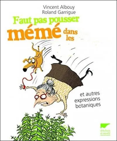 Vous êtes anémié. Si vous avez un jardin peu entretenu, il est facile de trouver cette plante riche en minéraux. Laquelle faut-il choisir ?