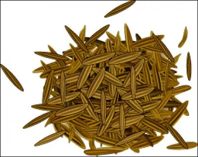 Vous êtes gêné par les ballonnements de votre ventre. Un petit truc pour vous sentir mieux !