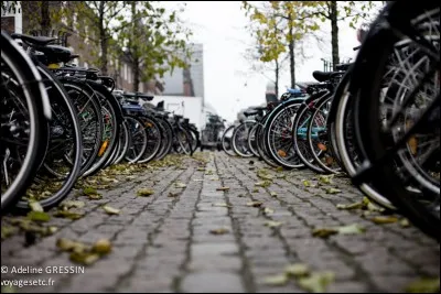 À Copenhague, il y a plus de vélos que d'habitants.