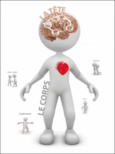 93% de notre corps est composé d'eau.