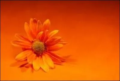 Que voulait dire la couleur orange, avant ?