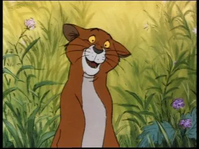 Quel est le nom complet de Thomas O'Malley ?