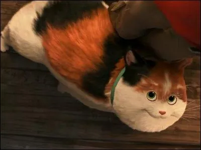 Comment s'appelle le chat de Hiro (Les Nouveaux Héros) ?