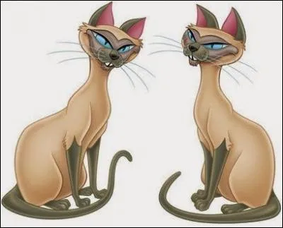 Comment se nomment ces deux félins sournois ?