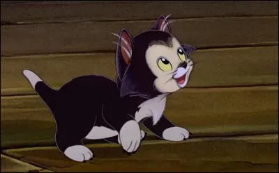 Il y a deux chats dans Pinocchio.