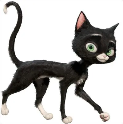 Quel est le nom de cette chatte de gouttière ?