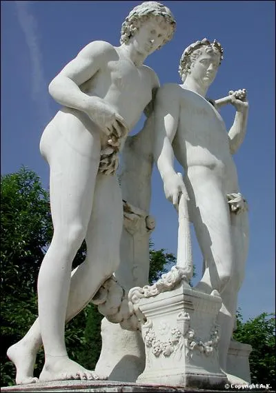 Les Dioscures sont sur un bateau. Castor tombe à l'eau, qu'est-ce qui reste ?