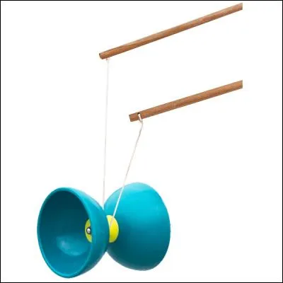 Qu'est-ce qui caractérise le chien évoqué ci-contre ?