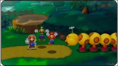 De quelle couleur sont les baies que doivent trouver les frères Mario pour les donner à Wiggler ?