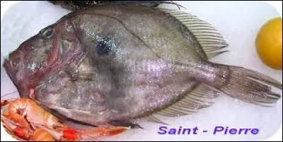 La l&eacute;gende pr&eacute;tend que la tache noire que le saint-pierre poss&egrave;de sur chacun de ses flancs, serait l'empreinte des doigts de saint Pierre.